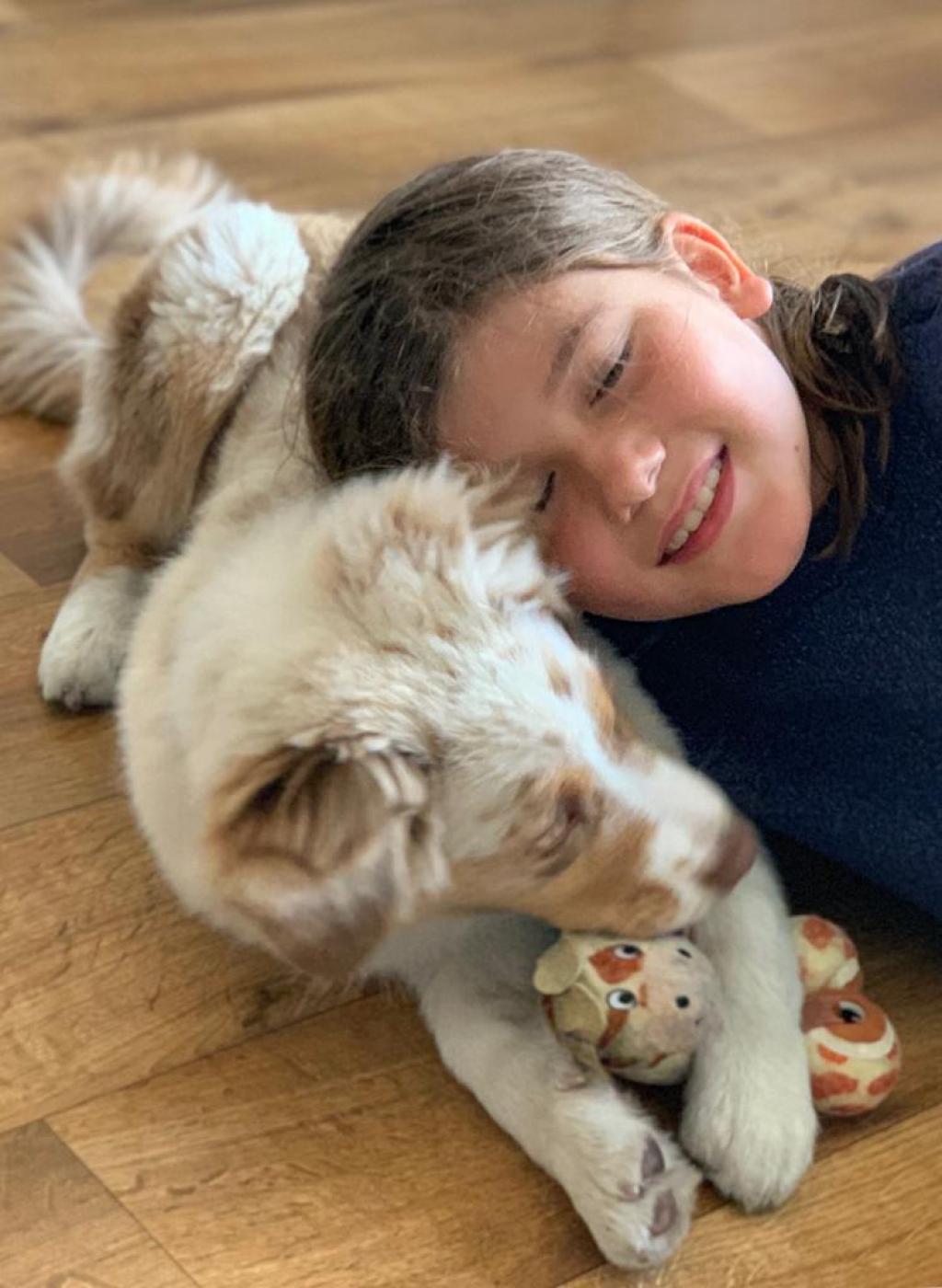 Home-help and girl&dog sitting wanted