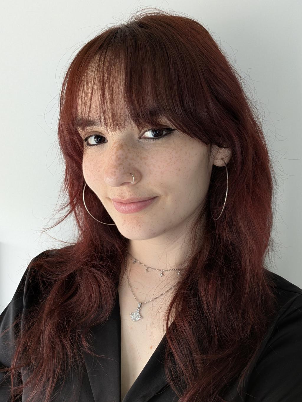 Pet and House sitter